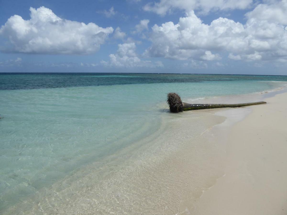 Appartement proche de la mer Ty Manganao Saint-Francois  Exteriör bild